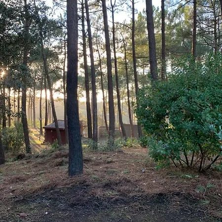 Agreable T2 Lisiere Du Golf Lacanau Ocean Extérieur photo