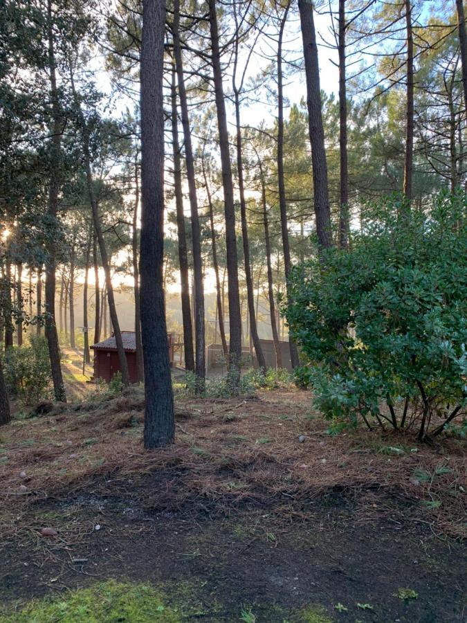 Agreable T2 Lisiere Du Golf Ocean