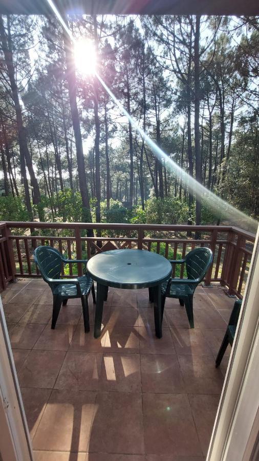 Agreable T2 Lisiere Du Golf Ocean Apartment *